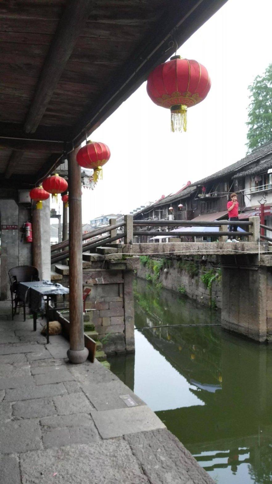 猫猫冒险团